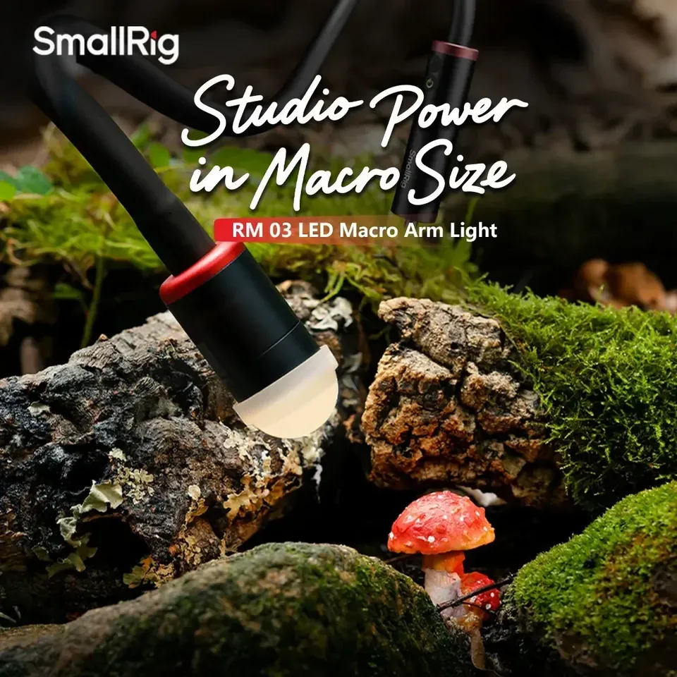For Smallrig RM-03 3W LED Macr - đánh giá và giá Photography Lighting For Jewelry