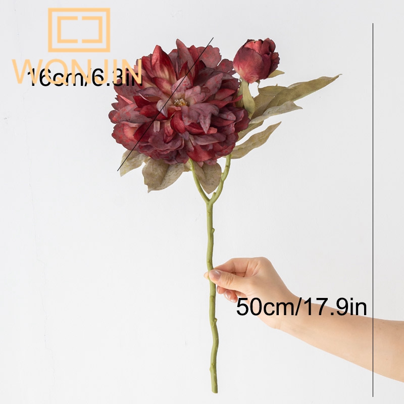 1PC Light Luxury 2 Head Big Pe - đánh giá và giá Photography Lighting Simulator Free