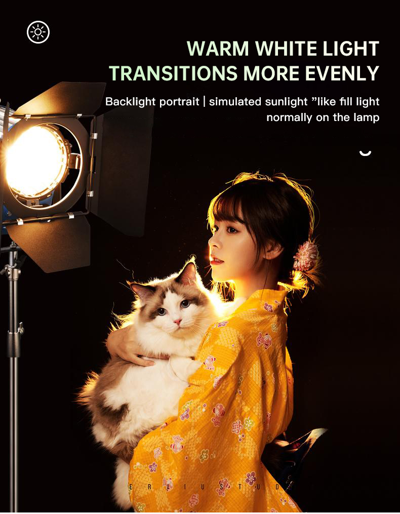 Beiyang 2000W Spotlight Hair L - đánh giá và giá Photography Lighting For Indoor