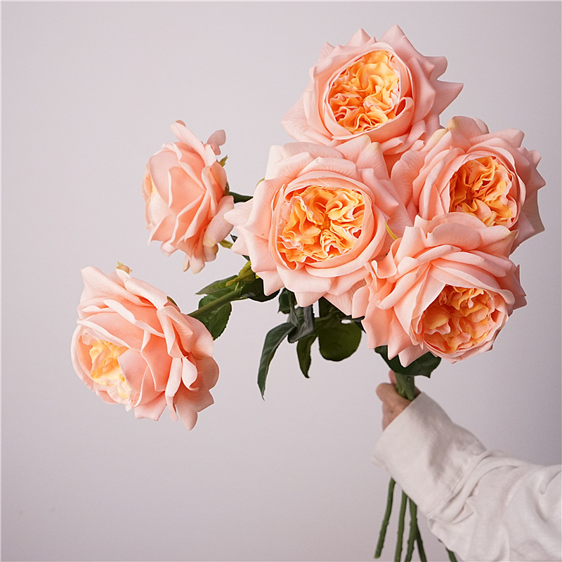 3pcs Moisturizing Rose Simulat - đánh giá và giá Photography Lighting Simulator Free