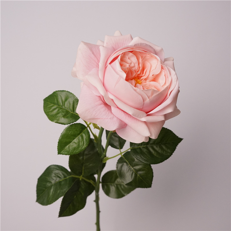 3pcs Moisturizing Rose Simulat - đánh giá và giá Photography Lighting Simulator Free