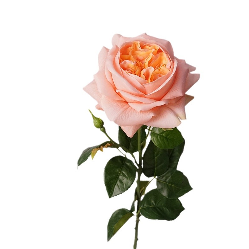 3pcs Moisturizing Rose Simulat - đánh giá và giá Photography Lighting Simulator Free