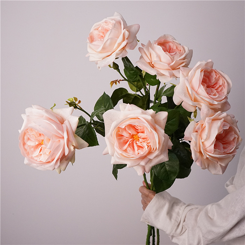 3pcs Moisturizing Rose Simulat - đánh giá và giá Photography Lighting Simulator Free