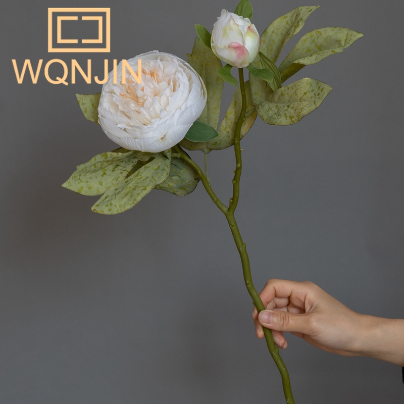 1PC Light Luxury 2-Head Peony  - đánh giá và giá Photography Lighting Simulator Free
