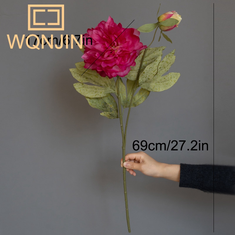 1PC Light Luxury 2 Head Big Pe - đánh giá và giá Photography Lighting Simulator Free