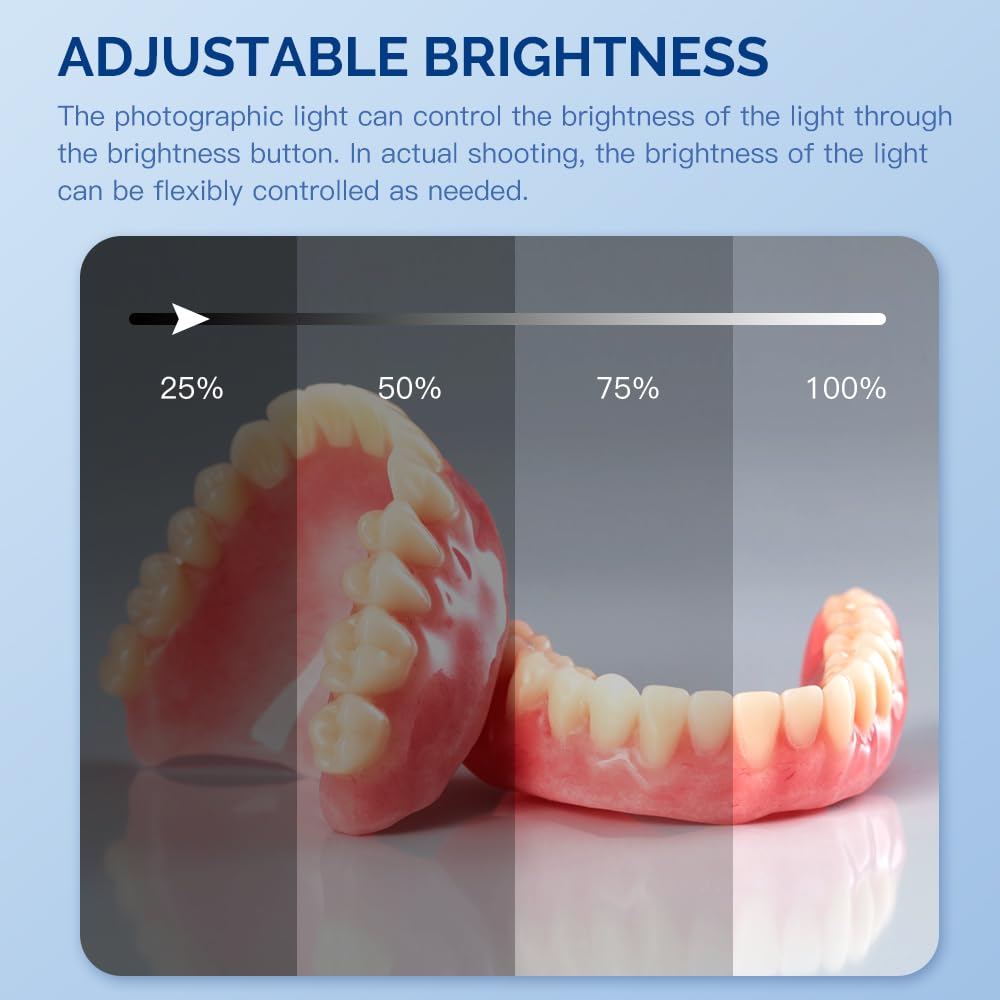 Professional Dental LED Supple - đánh giá và giá Photography Lighting Composition