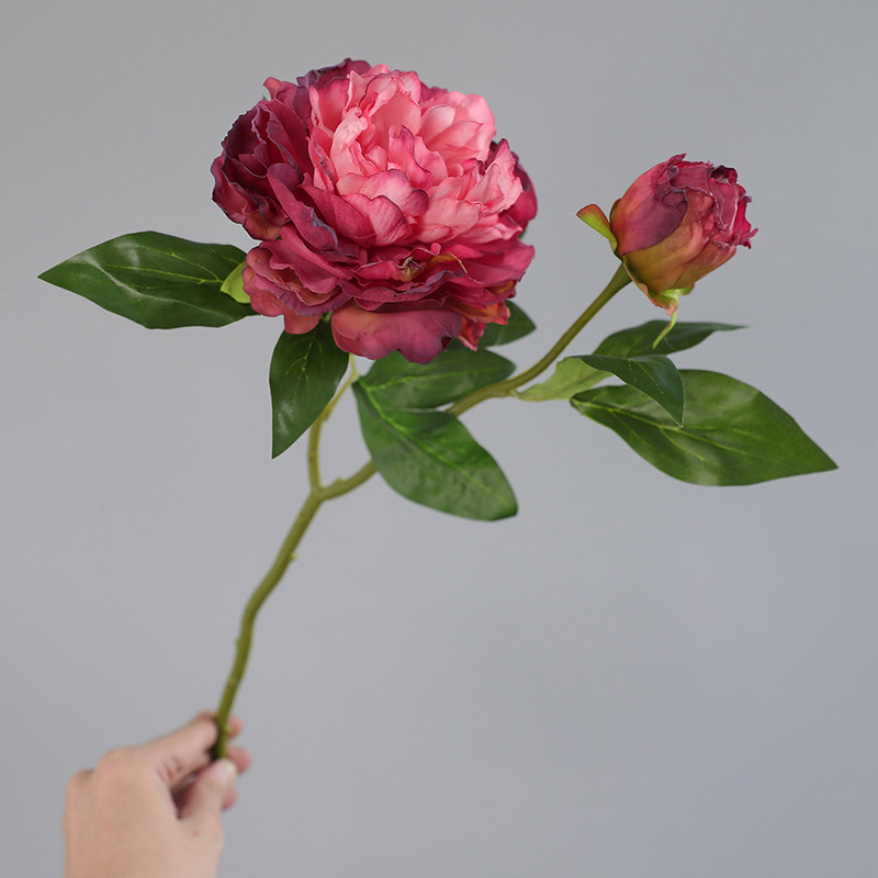1PC Retro 2 Head Peony Simulat - đánh giá và giá Photography Lighting Simulator Free